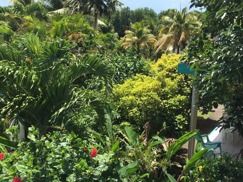 Cas'A Willy Hotel Sainte-Rose Luaran gambar